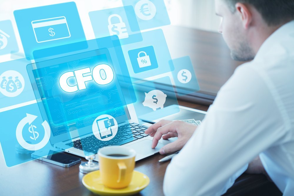 virtual CFO services Professional Service